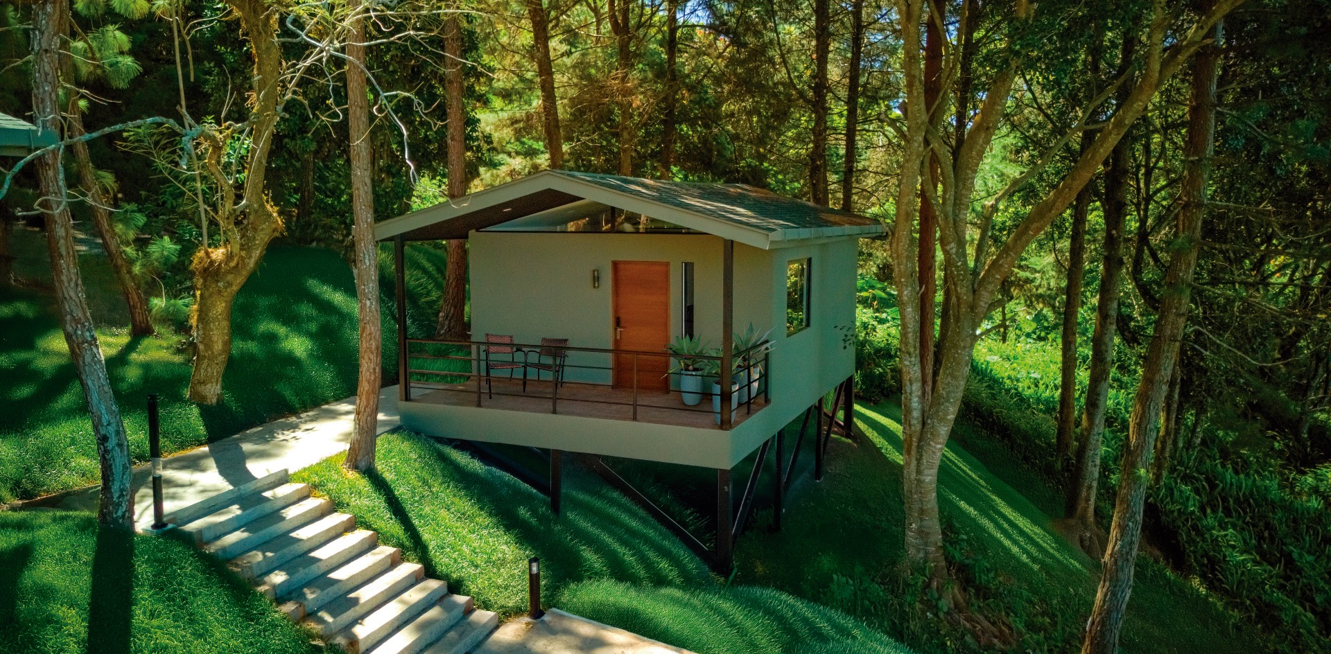 Lujo entre cafetales